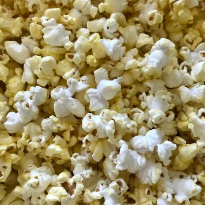 Kernels of popped popcorn. Some are white and some are yellow.