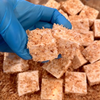 A hand wearing a blue vinyl glove holds two toasted coconut marshmallows over a bowl of toasted coconut flakes and additional marshmallows.